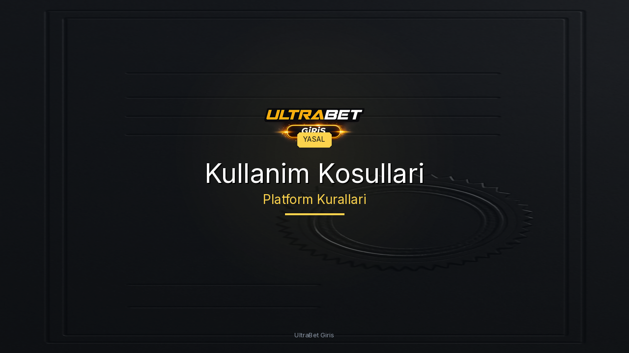 Kullanim Kosullari ve Sartlar